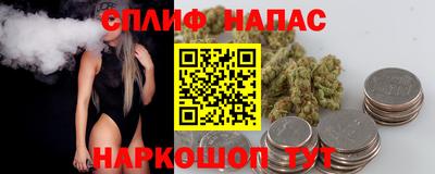 ешки Гагарин