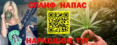 apvp Бийск
