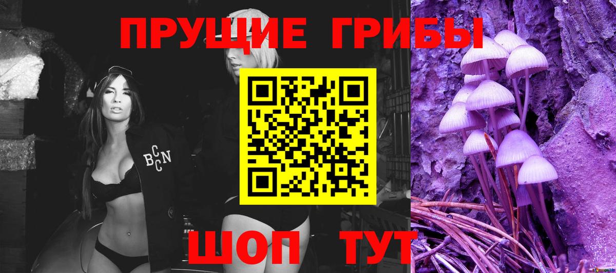 Зерноград  Галлюциногенные грибы Psilocybe  Галлюциногенные грибы Cubensis  где можно купить   Вход с VPN 