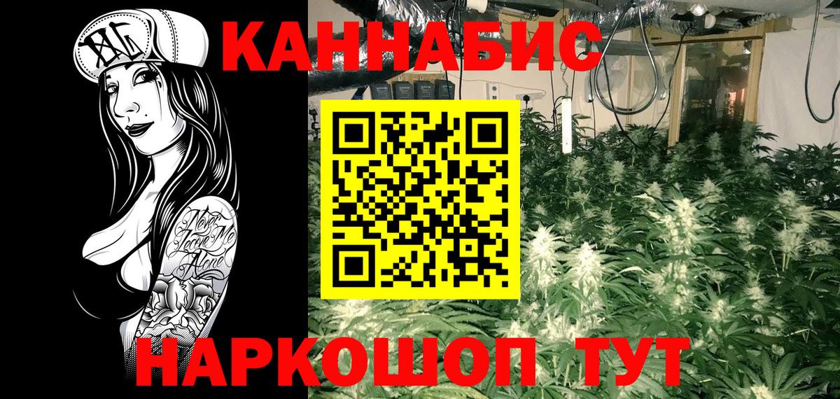 Каннабис сатива Зерноград